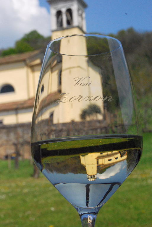 Agriturismo Domus Rustica Cormòns Exteriör bild